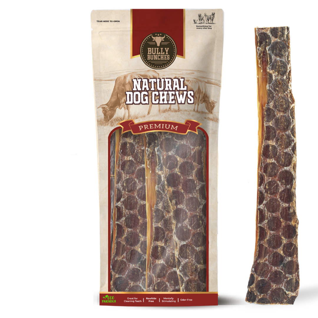 12 Inch Beef Jerky Strip