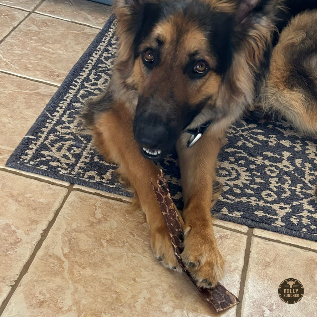 12 Inch Beef Jerky Strip