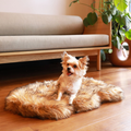 PupRug® Faux Fur Orthopedic Dog Bed - Curve Sable Tan
