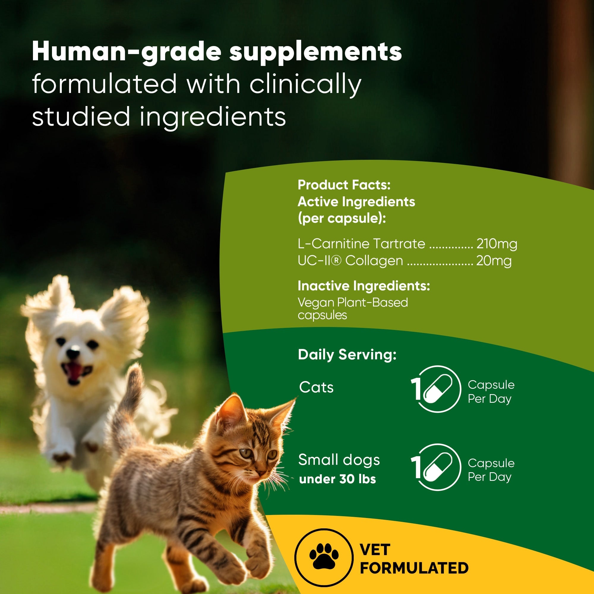 l-carnitine dosage for small dogs LiquiCarn 4oz (120mL) are designed to promote heart health and improve circulation Best Heart Supplement for Dogs