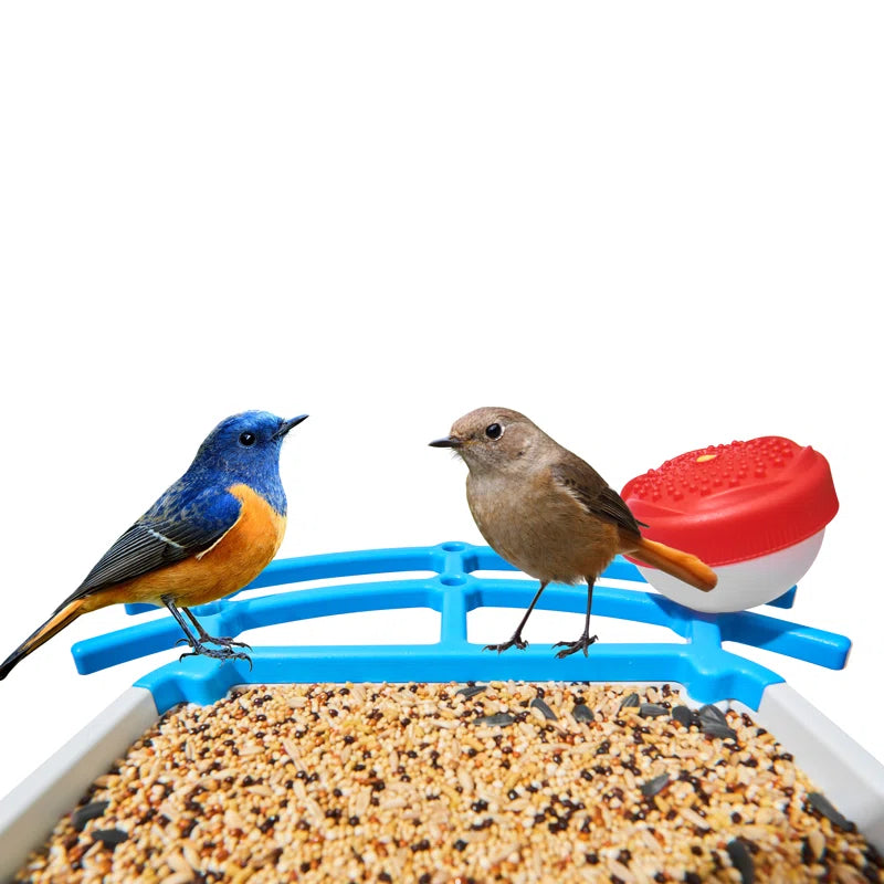Safaree Feeding Station