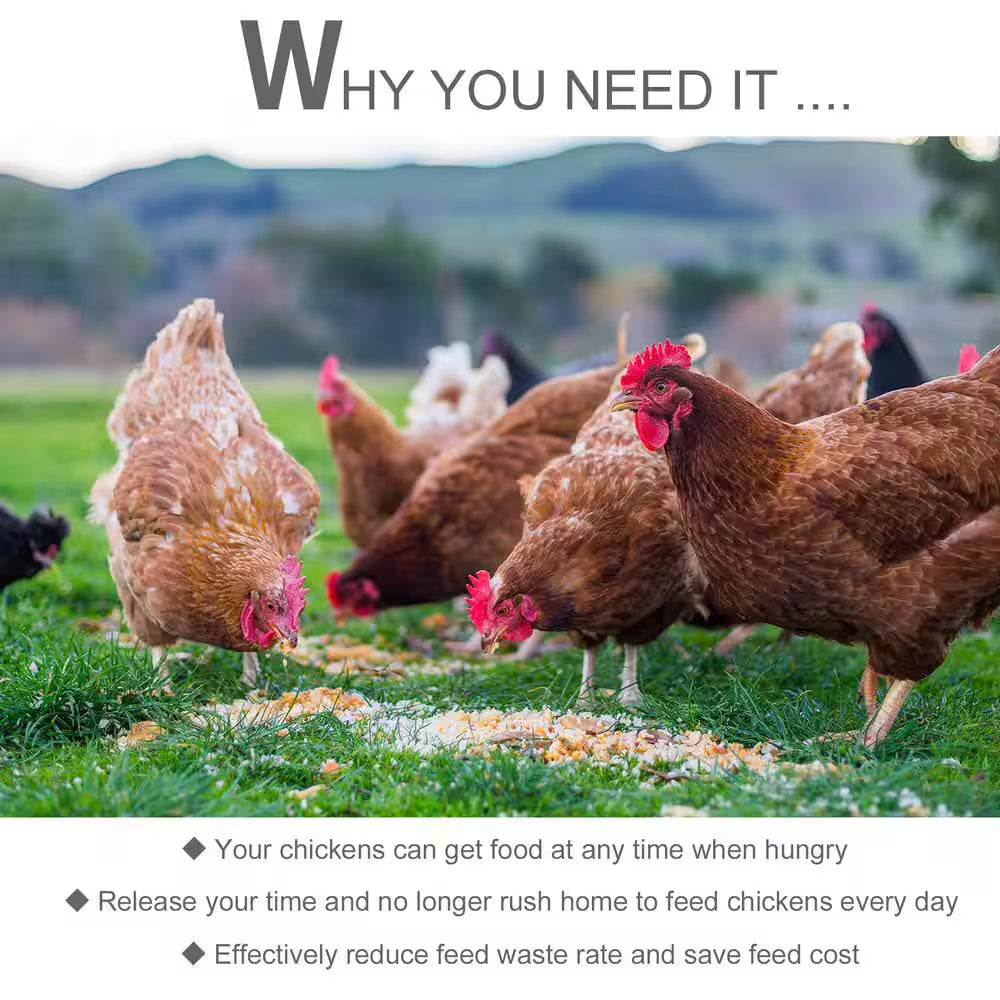 30 Lbs. Capacity Automatic Chicken Poultry Feeder with a Galvanized Steel and Aluminium Build