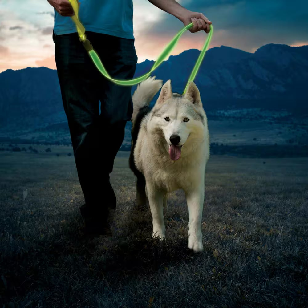 Nitedog Rechargeable LED Leash - Lime/Green LED