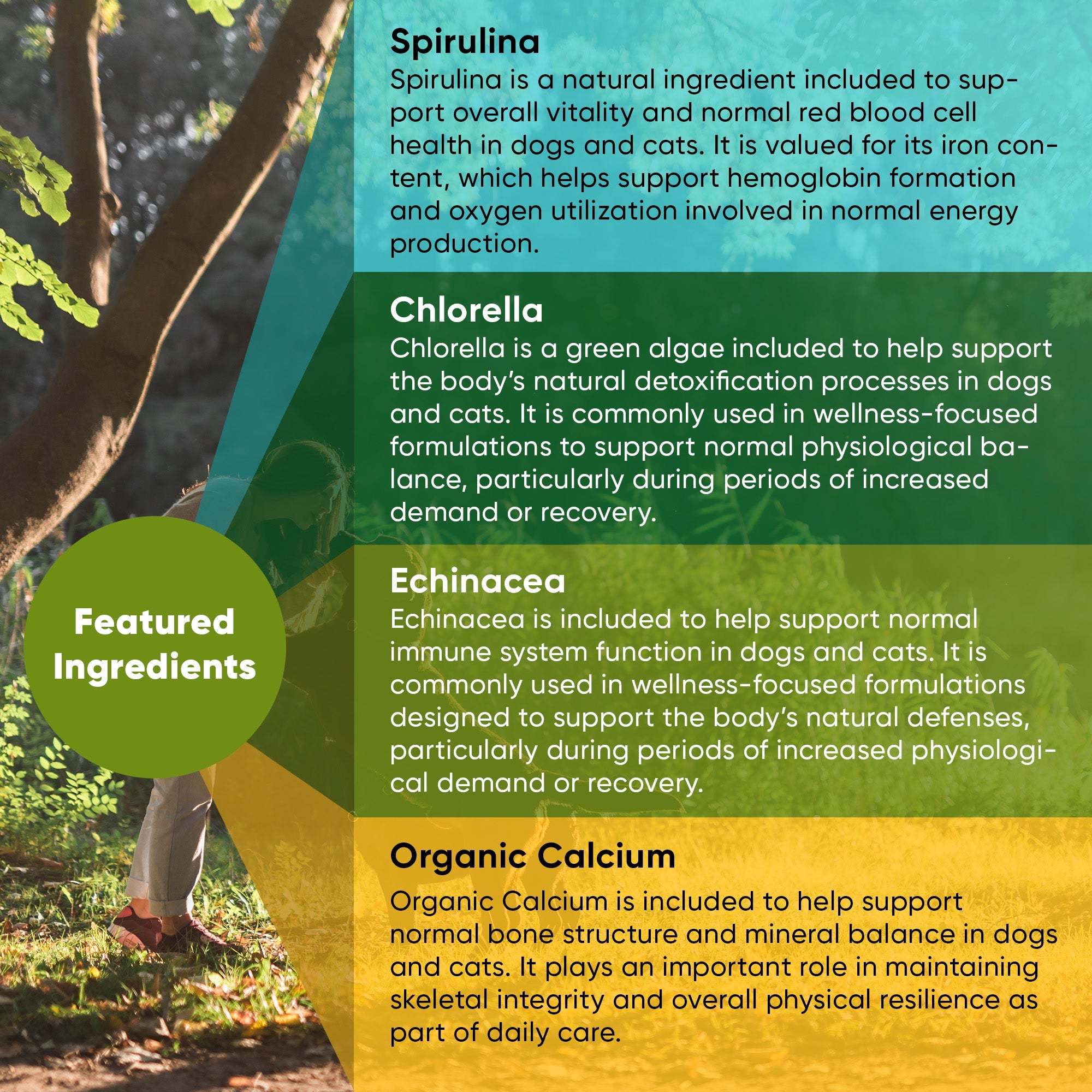 Spirulina & Chlorella