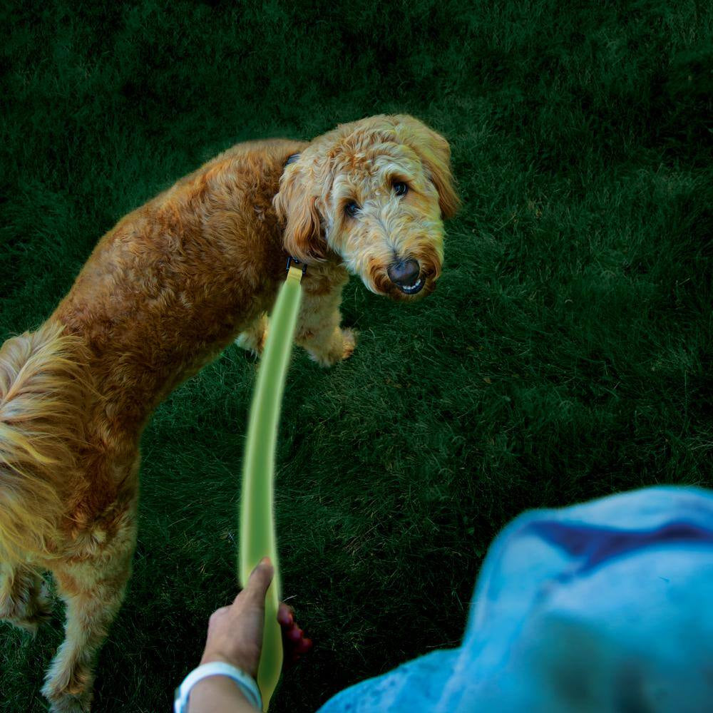 Nitedog Rechargeable LED Leash - Lime/Green LED