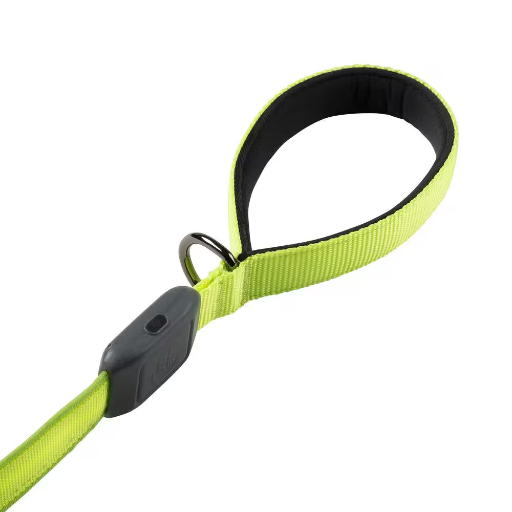 Nitedog Rechargeable LED Leash - Lime/Green LED