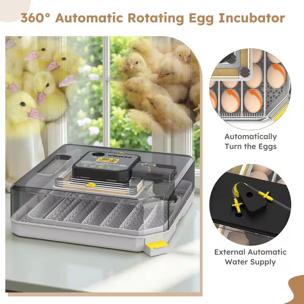 16.14 In. X 16.14 In. 48-Egg LED Cold-Light Poultry Incubator Temperature Display Humidity Control and Water Serving