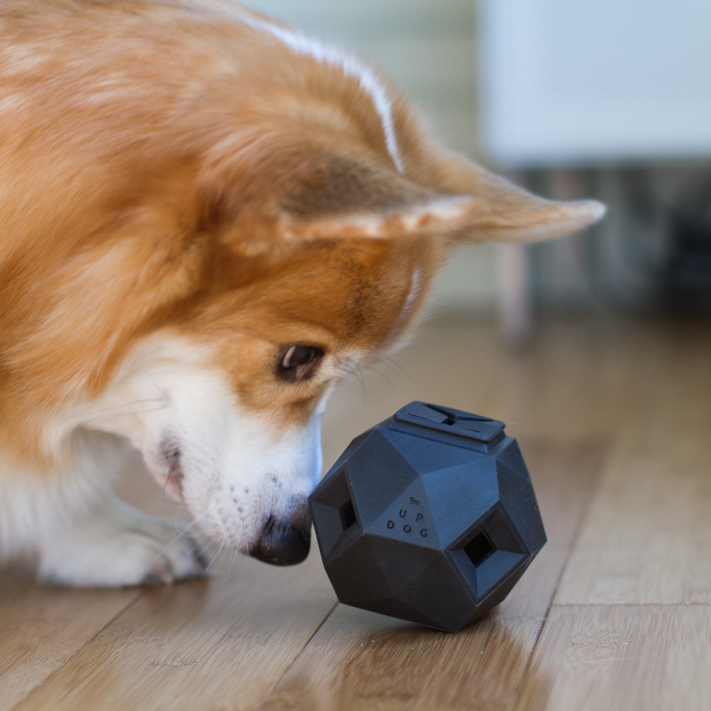 The Odin Treat Dispensing Toy For Dogs