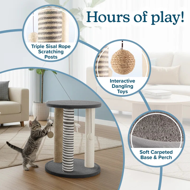 Cat Scratching Post - Scratcher Posts with Carpeted Scratch Pad Base and Perch - Furniture Scratching Deterrent for Indoor Cats