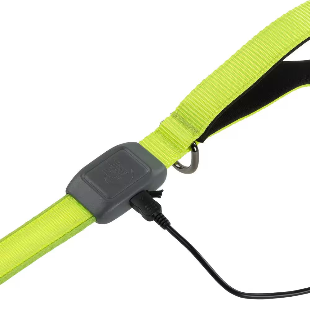 Nitedog Rechargeable LED Leash - Lime/Green LED