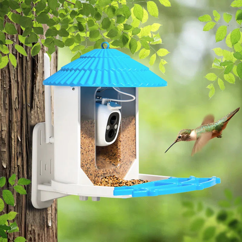 Safaree Feeding Station