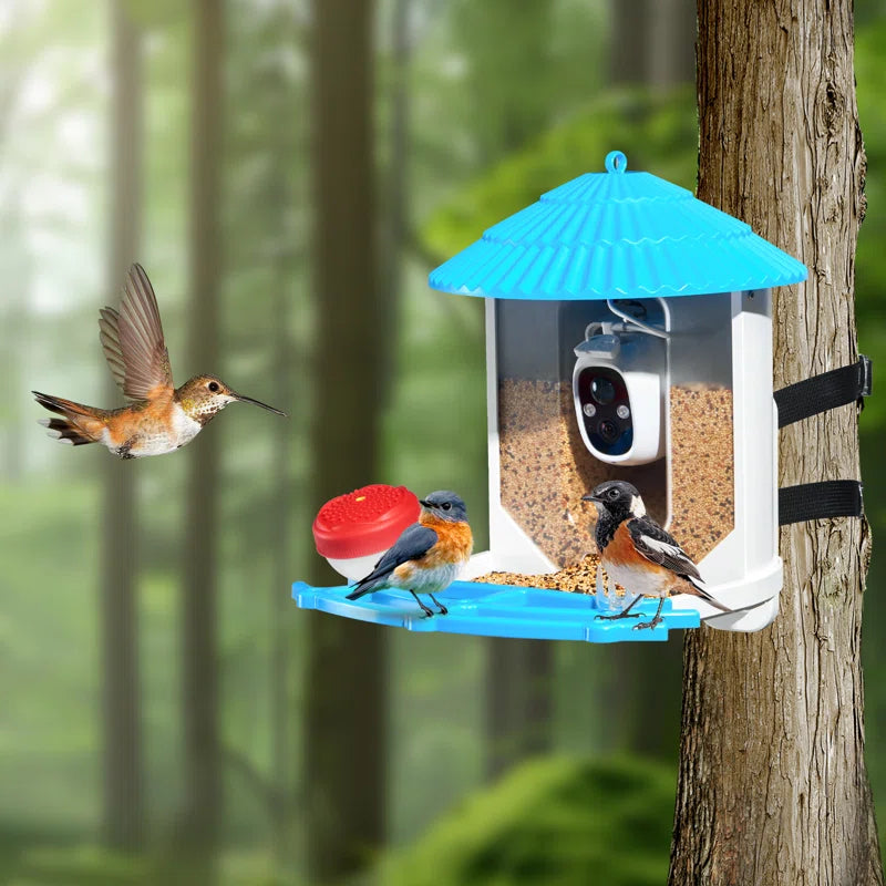 Safaree Feeding Station