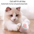 Pet Gravity Smart Rolling Ball Cat Toy for Entertainment, Self-Play, Rechargeable Cat Teaser Ball