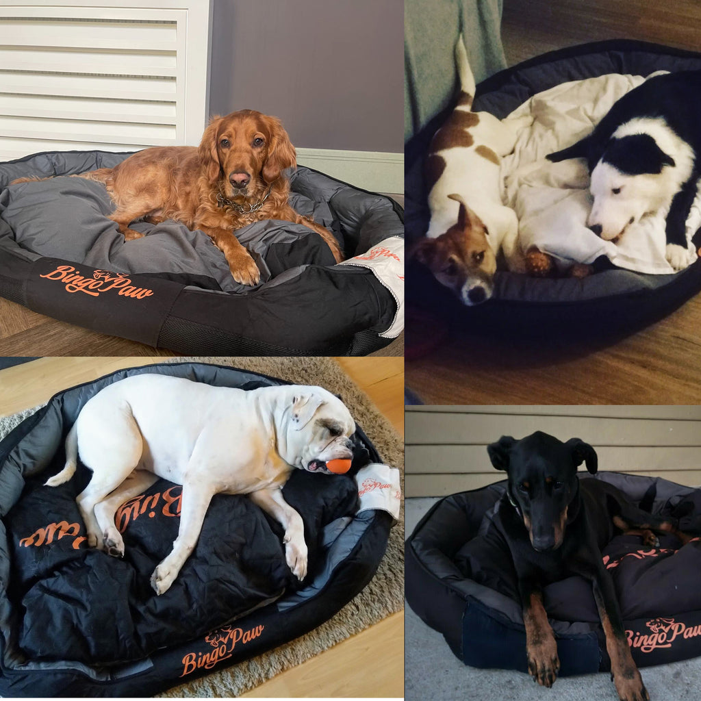 L-XXL Waterproof Dog Bed Orthopedic Sofa Soft Pet Bed Stuffed Pillow Kennel Mat