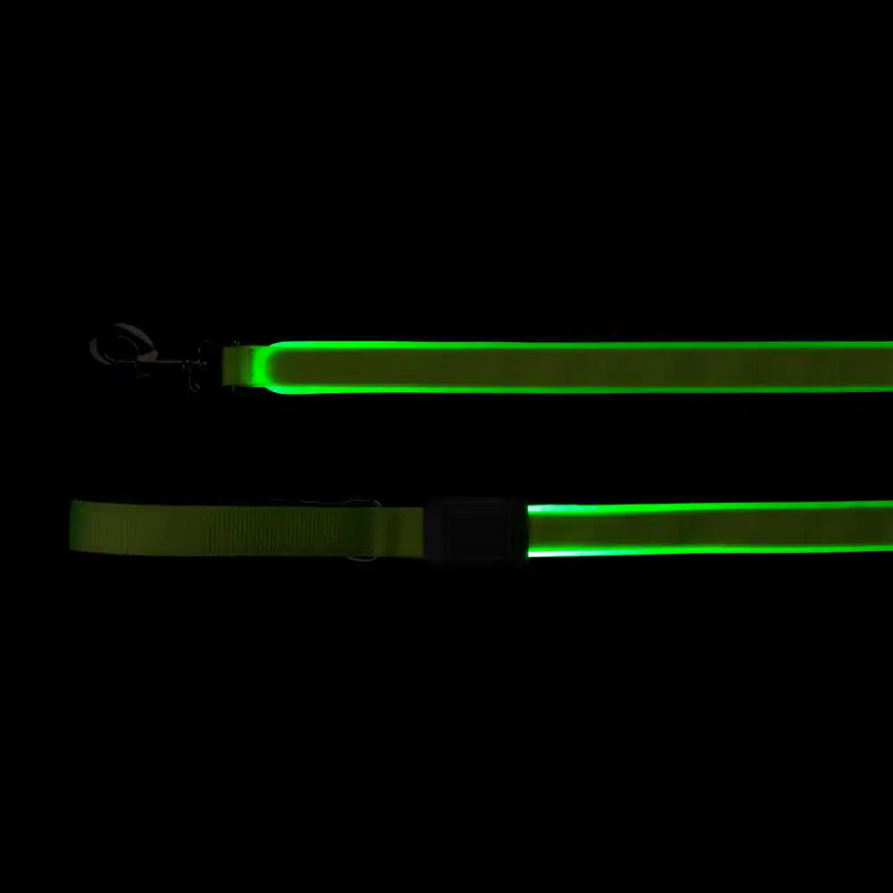 Nitedog Rechargeable LED Leash - Lime/Green LED