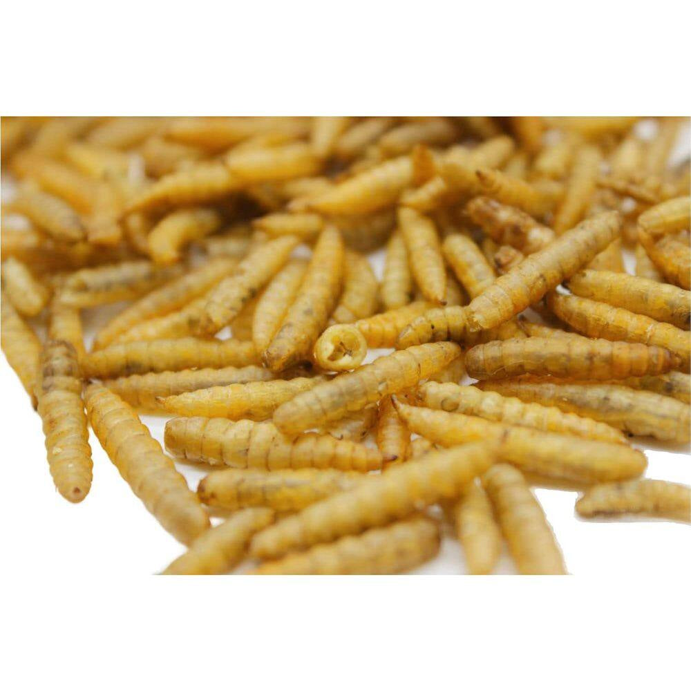 Calcium-Rich Non-Gmo Chicken Feed 85X More Calcium than Mealworms 5Lb Molting Supplement for Hens Ducks Turkeys