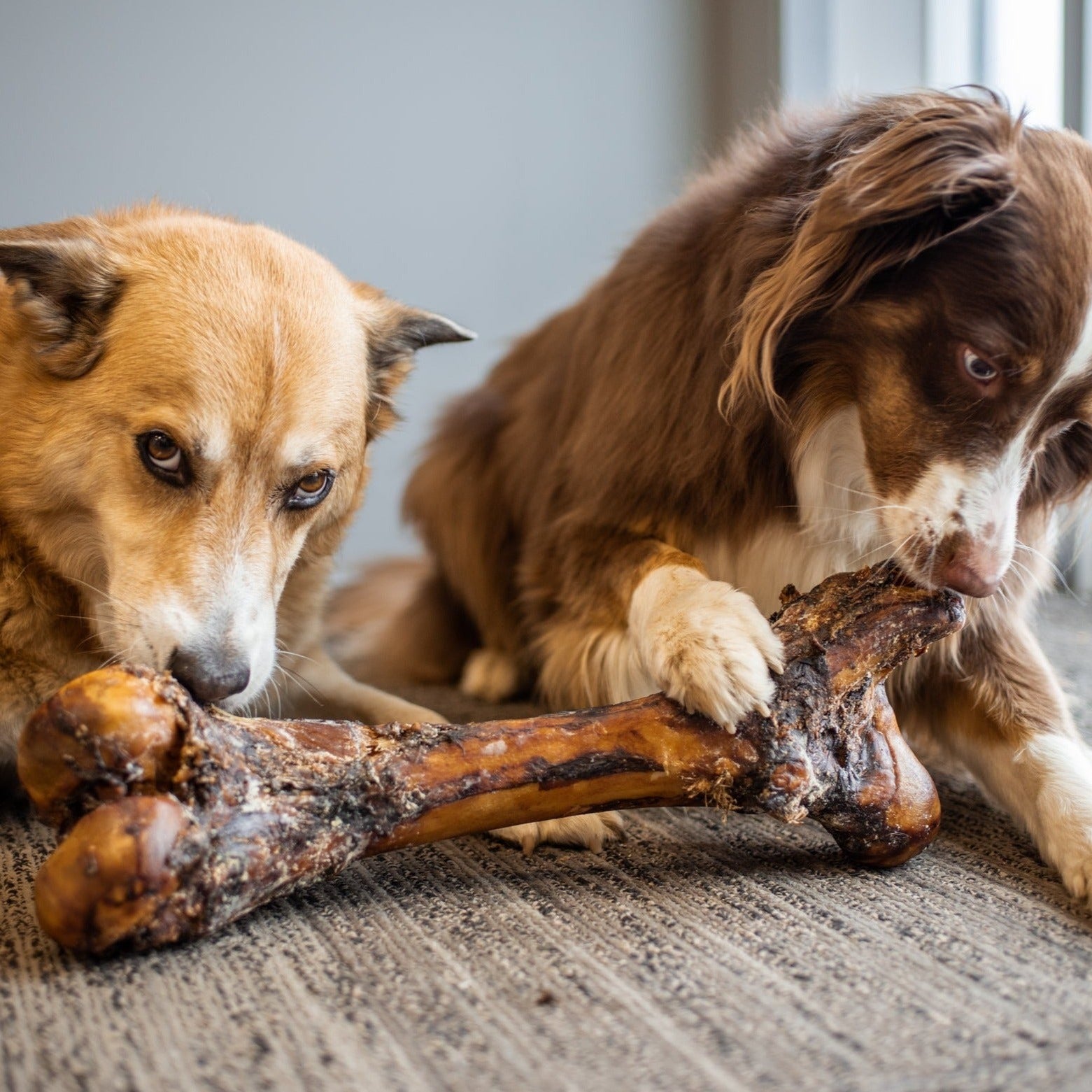 Monster Femur Bone