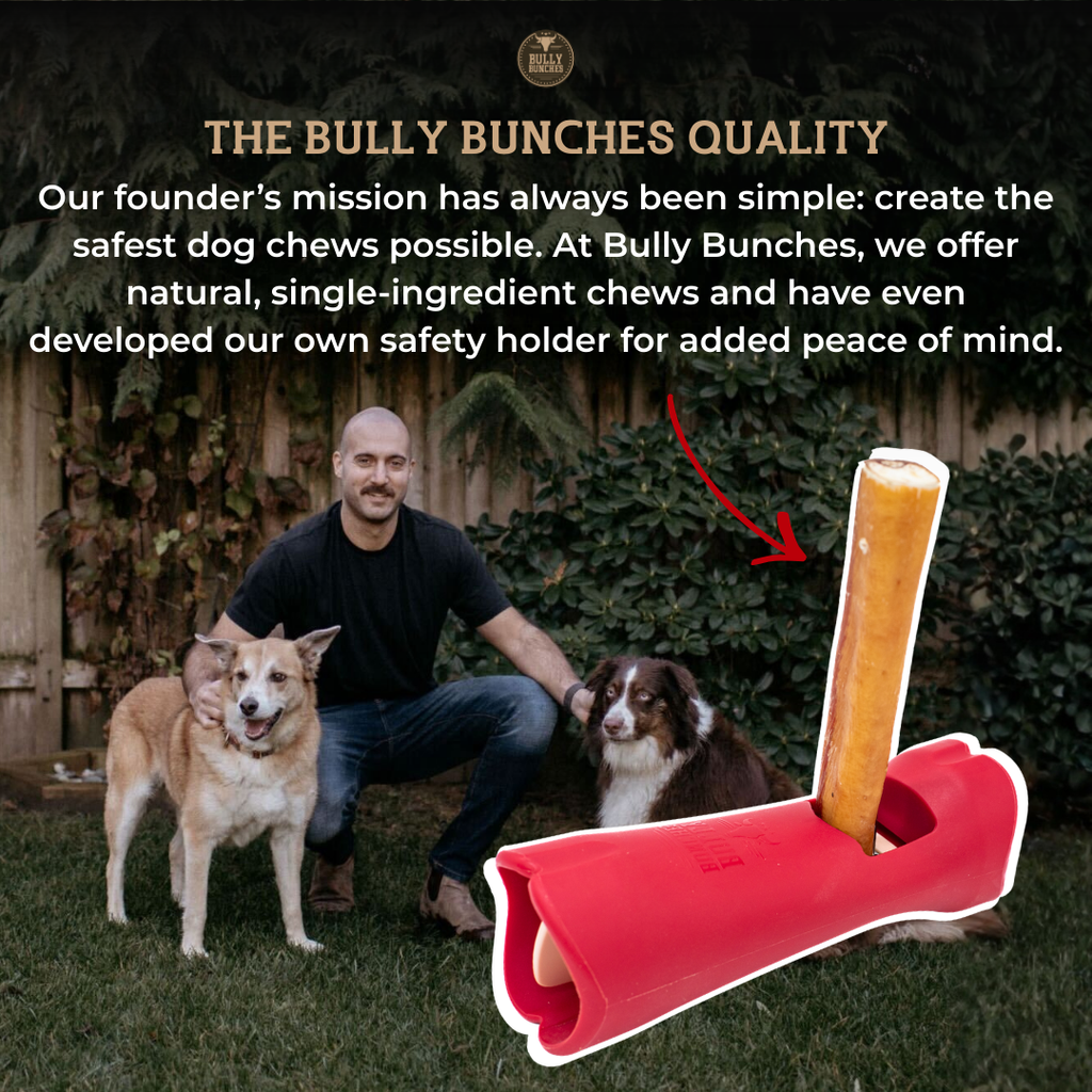 Small Bully Stick Ring