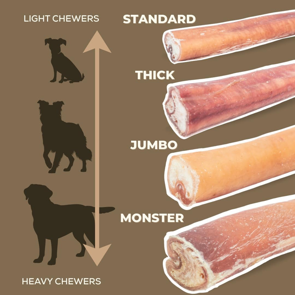 12 Inch Jumbo Bully Stick
