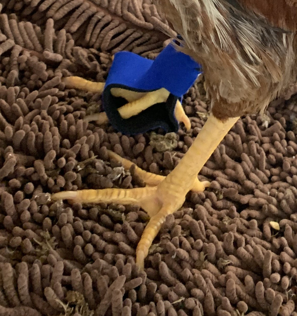 Birdy Bootie (chicken shoes, chicken booties, duck booties and goose shoes)