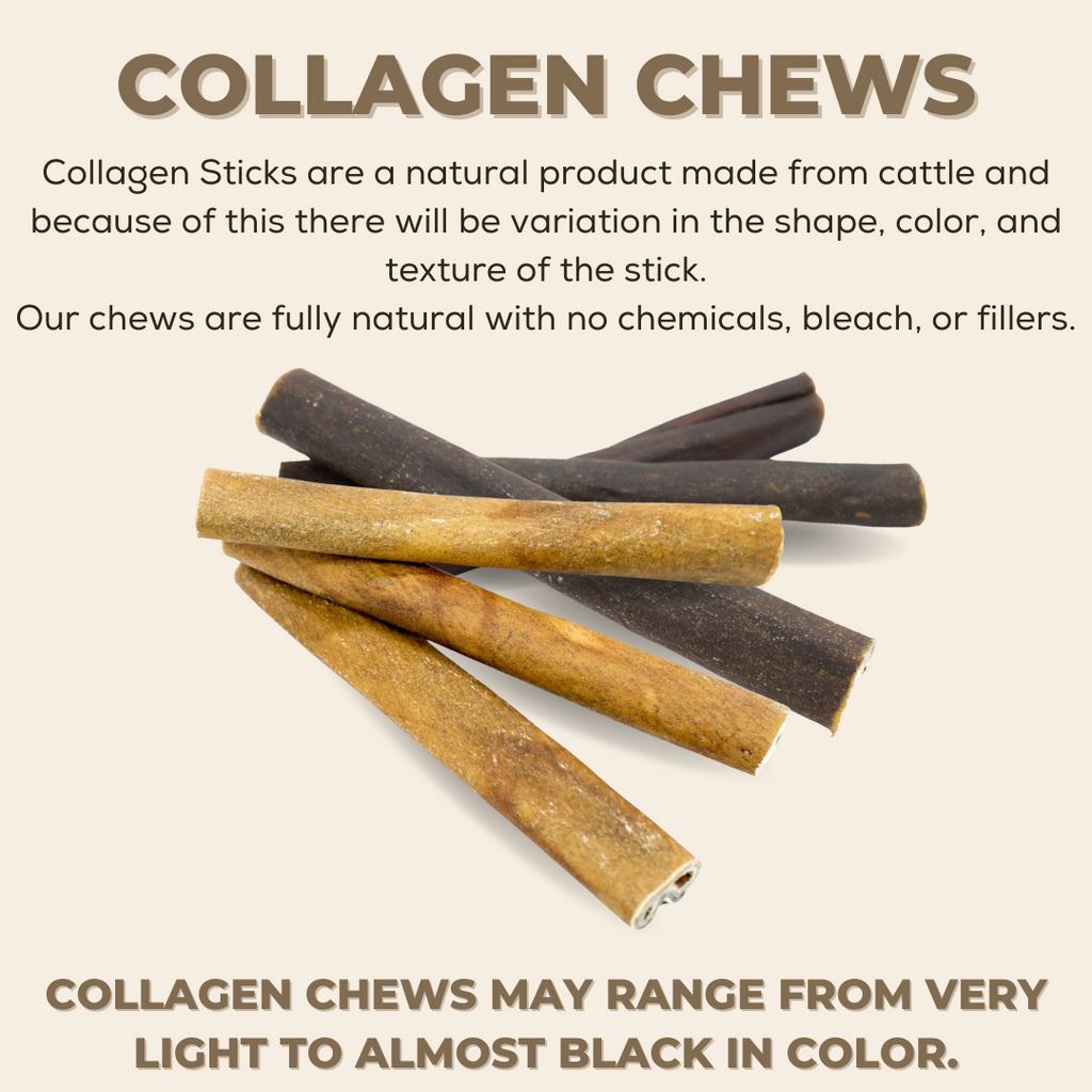 10-12 Inch Champion Chew
