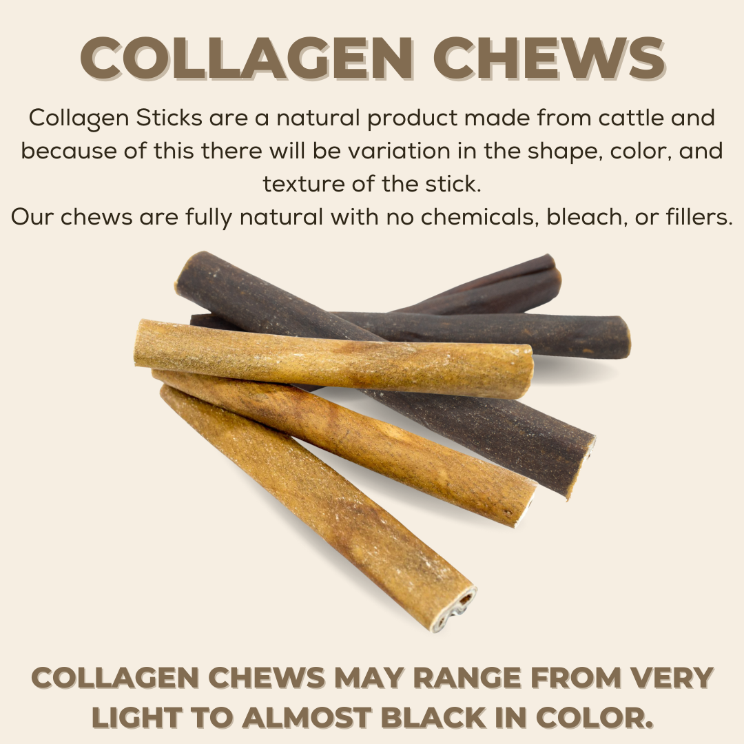 10-12 Inch Champion Chew