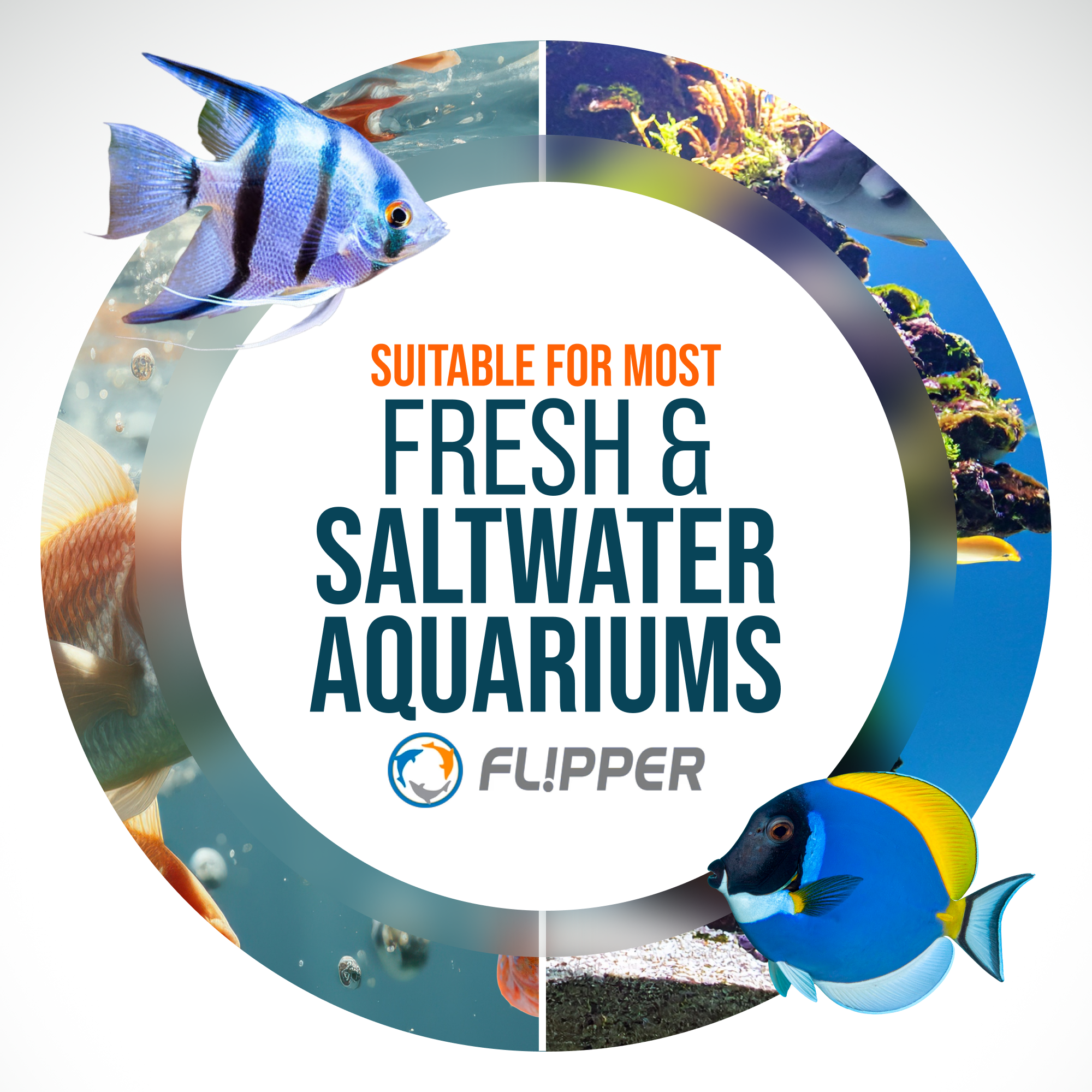 Flipper Platinum Aquarium Algae Scraper - 10"