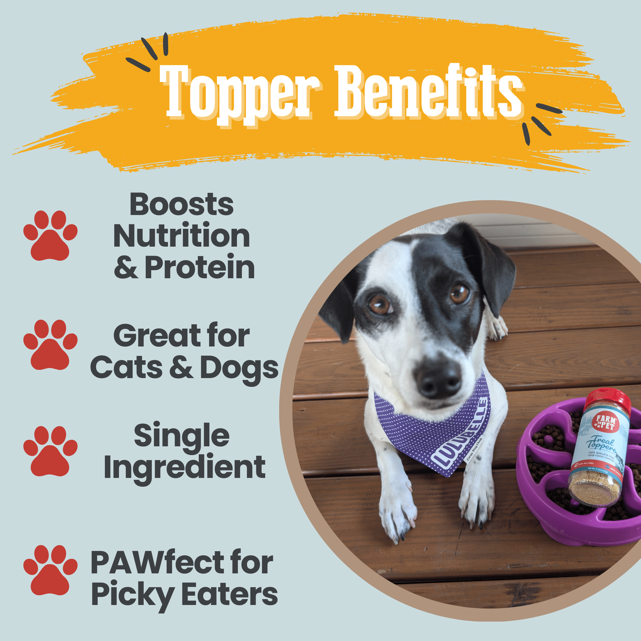 Treat Topper Fish Dog Food Topper | Low-Fat Meal Topper for Pets
