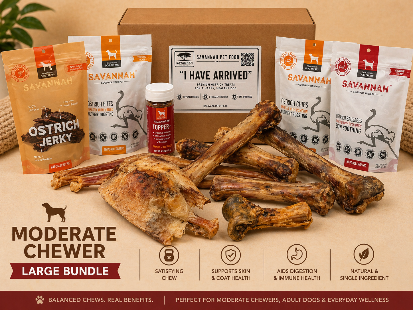 Moderate Chewer Large Box — 12 Ostrich Treats for Everyday Chewers