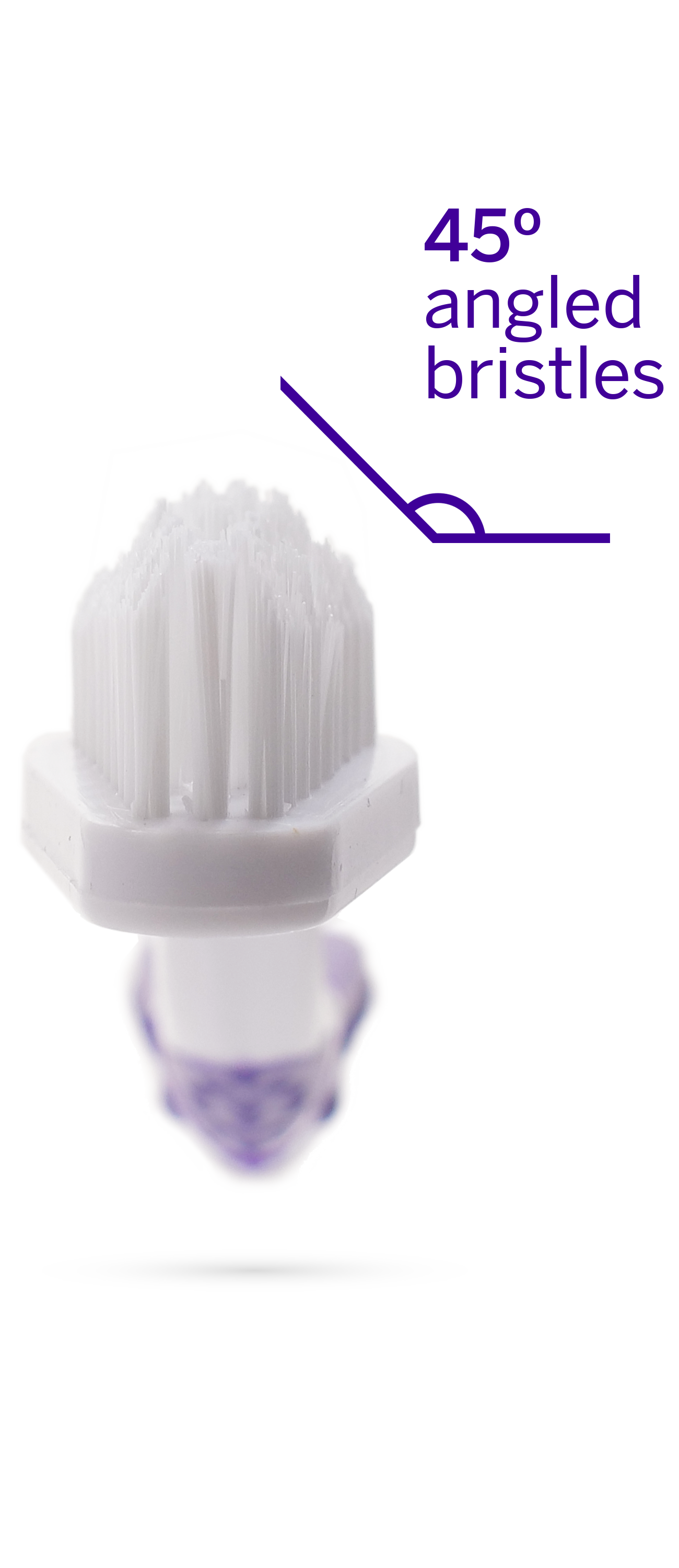 Professional Toothpaste Rotisserie Chicken Large & Professional Pet Toothbrush