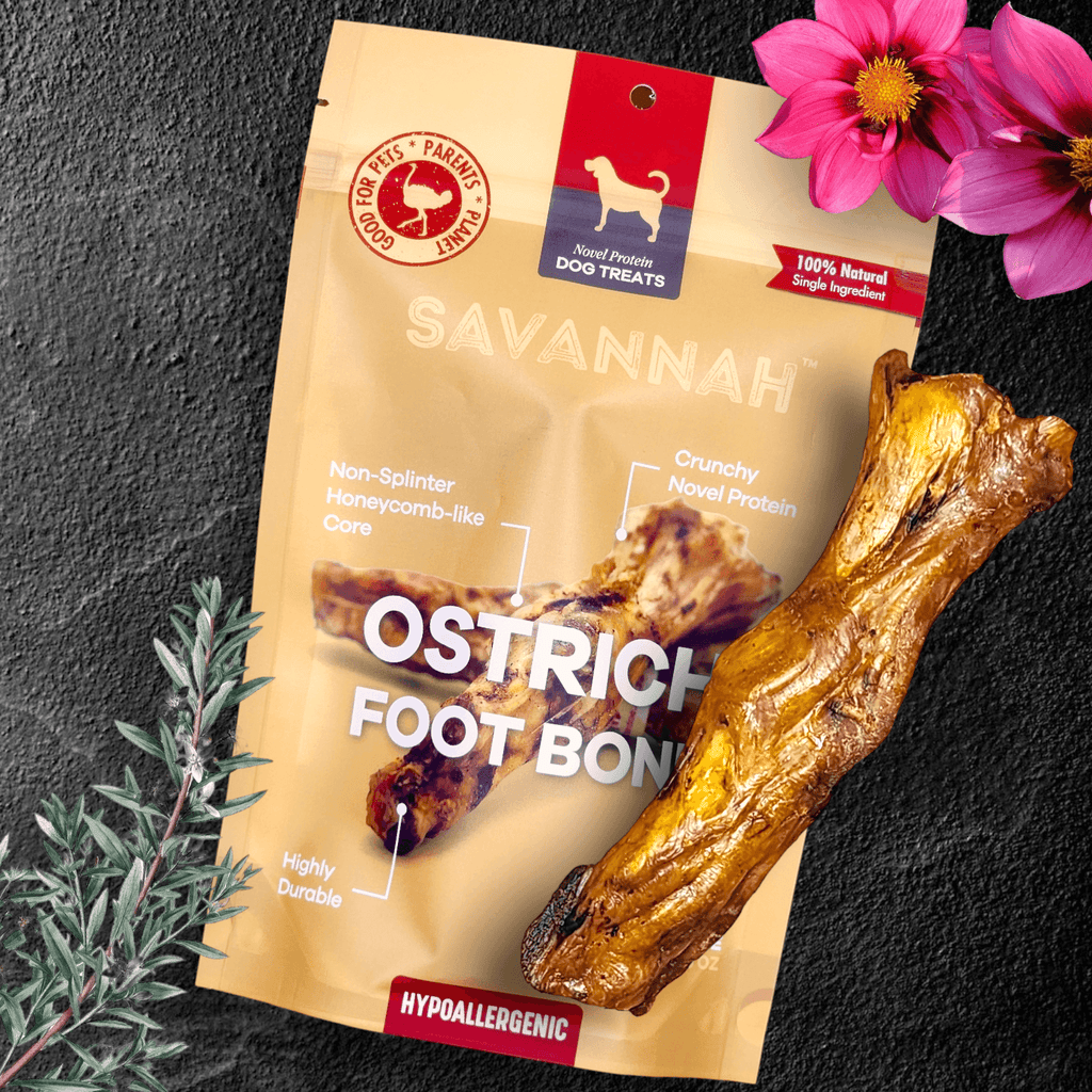 Moderate Chewer Medium Box — 8 Ostrich Treats for Everyday Chewers