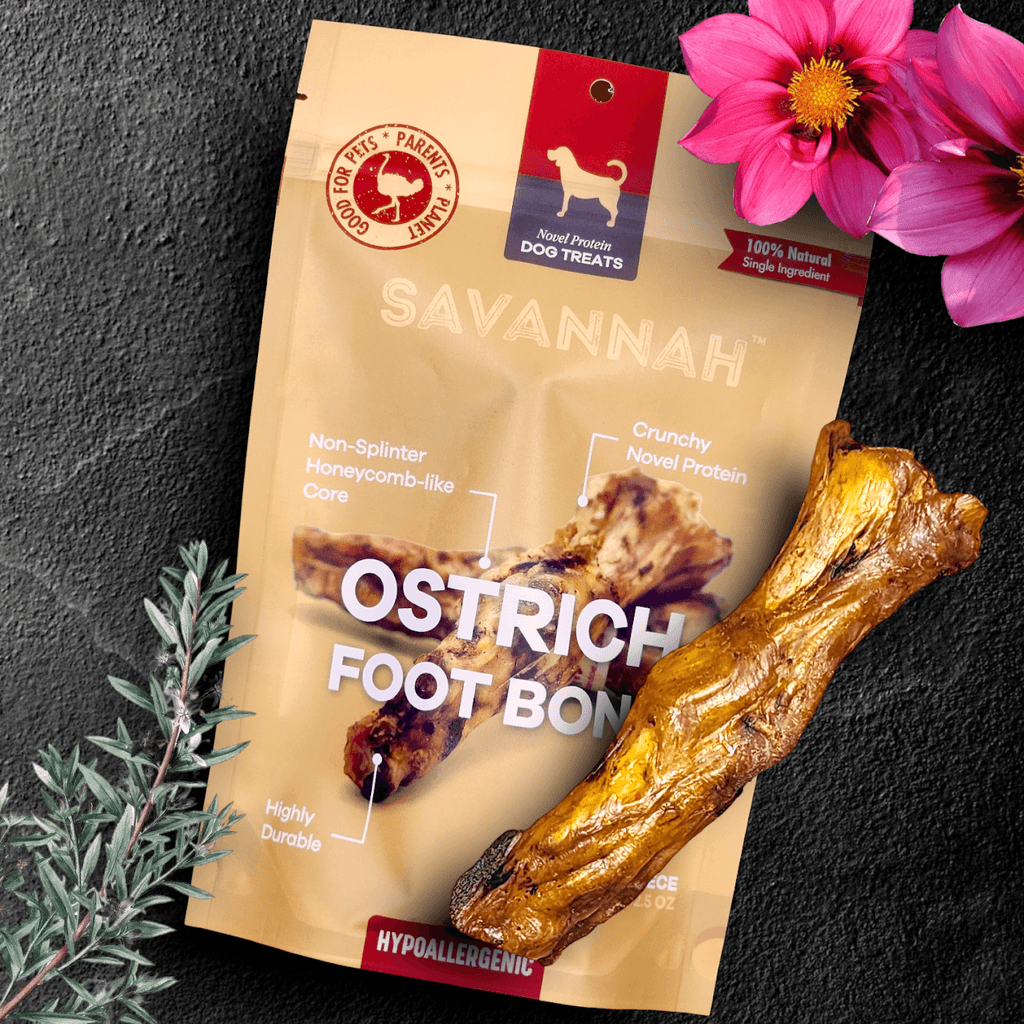 Light Chewer Large Box — 12 Ostrich Treats for Gentle Chewers