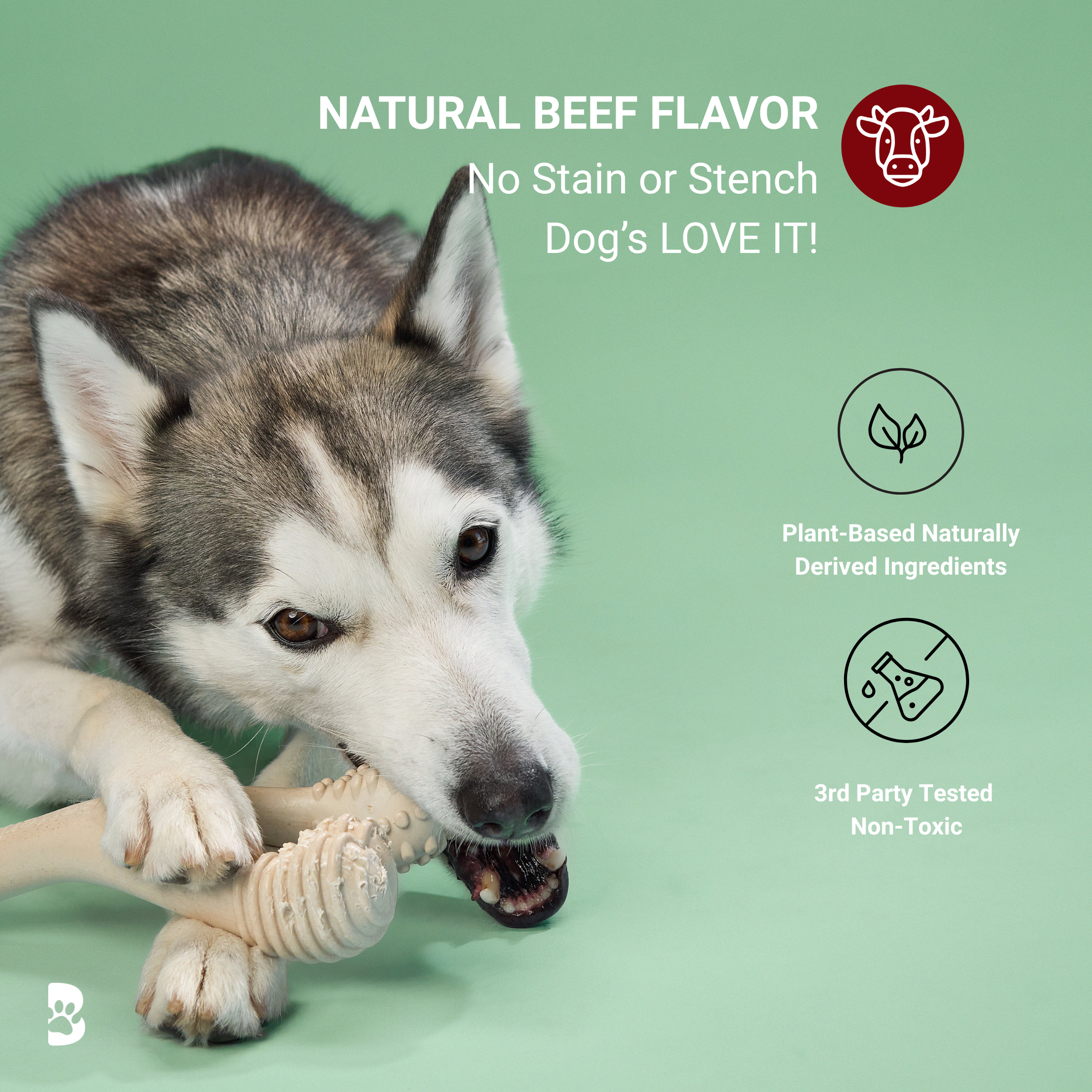 BetterBone MODERATE Durability CHEW TOY: Perfect Chew for Everyday Chewers | Naturally Derived Ingredients, Eco-Friendly, Non-Toxic