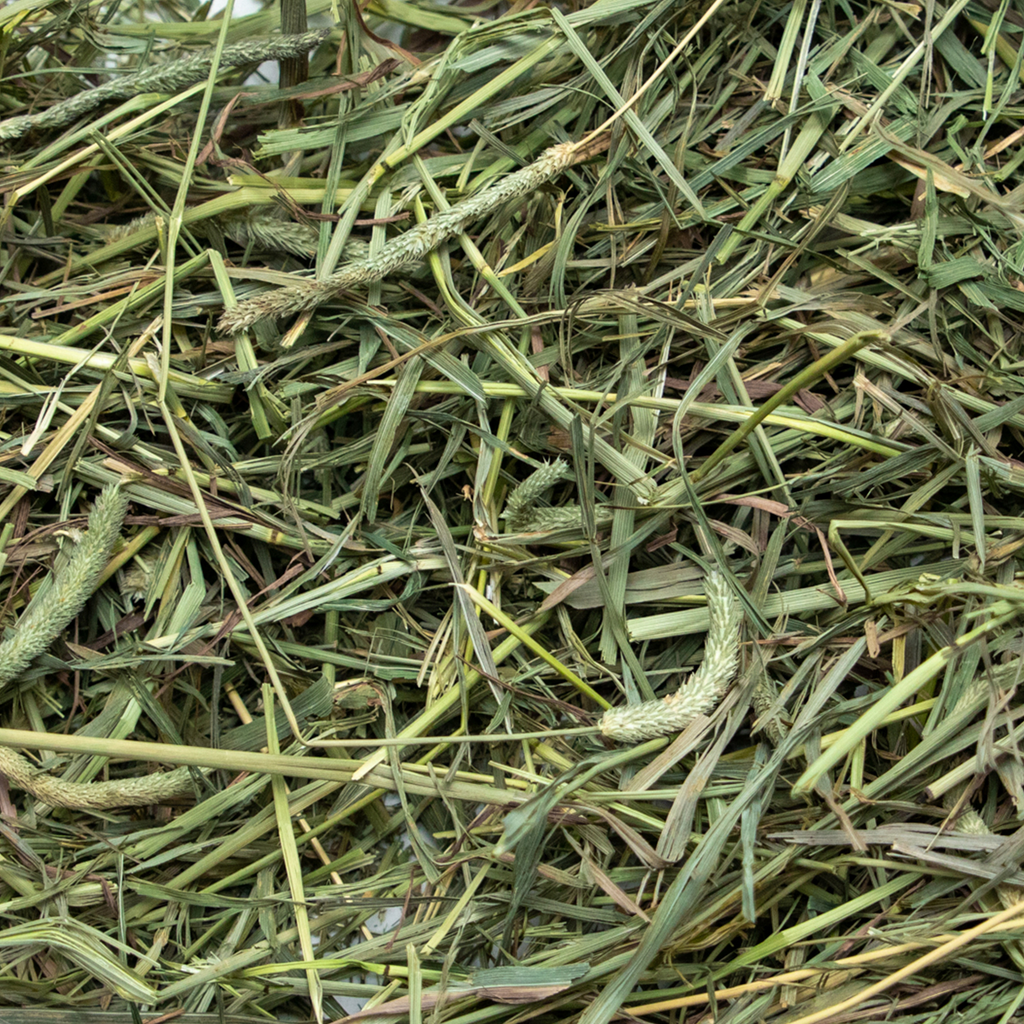 Rabbit Hole Hay Ultra Premium Medium Timothy Hay