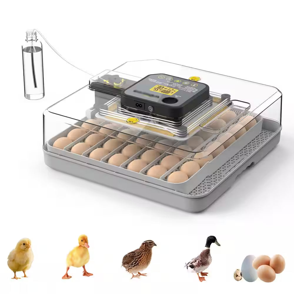 16.14 In. X 16.14 In. 48-Egg LED Cold-Light Poultry Incubator Temperature Display Humidity Control and Water Serving