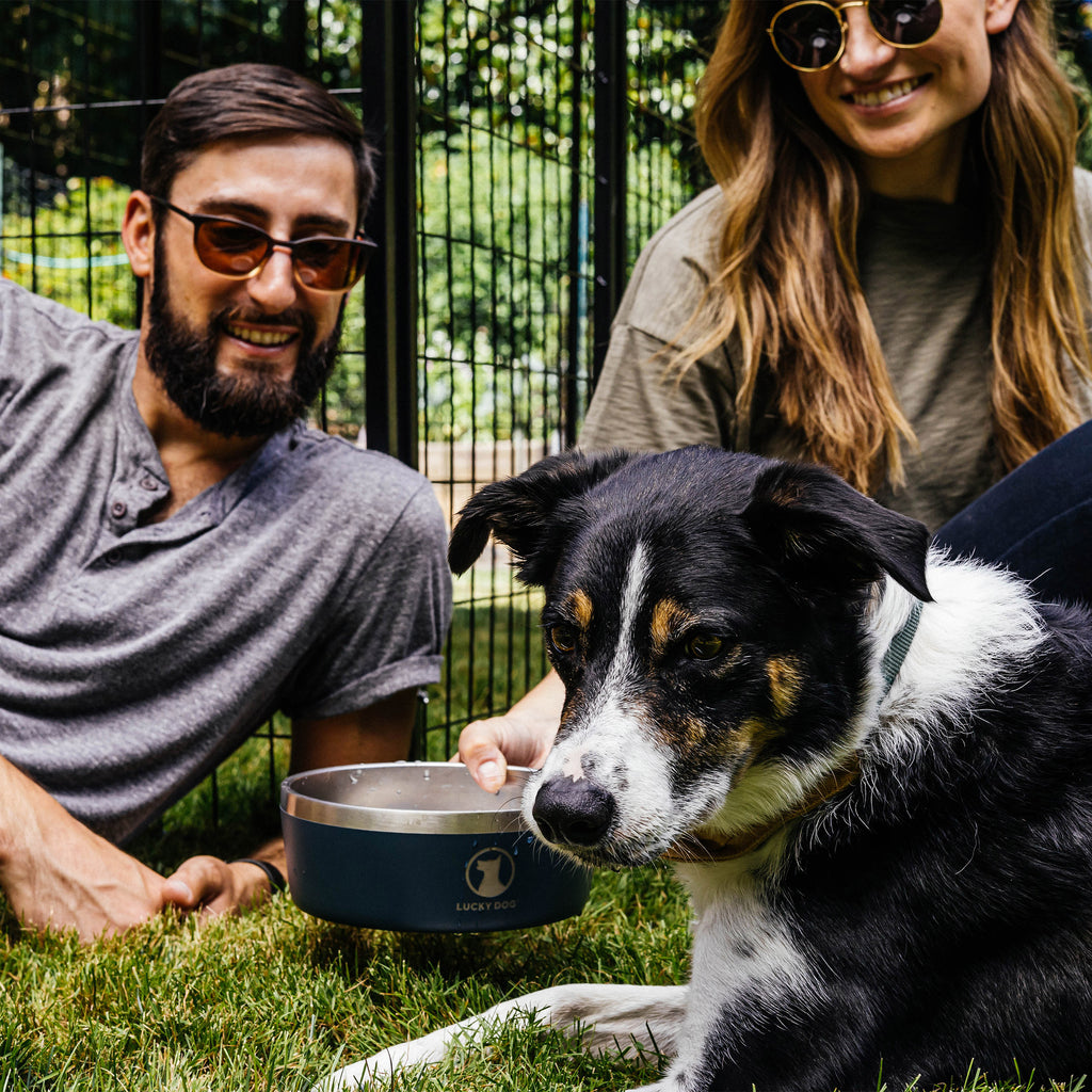 Lucky Dog Indulge 5, Double Wall 5 Cup Stainless Steel Dog Bowl, 2-Pack