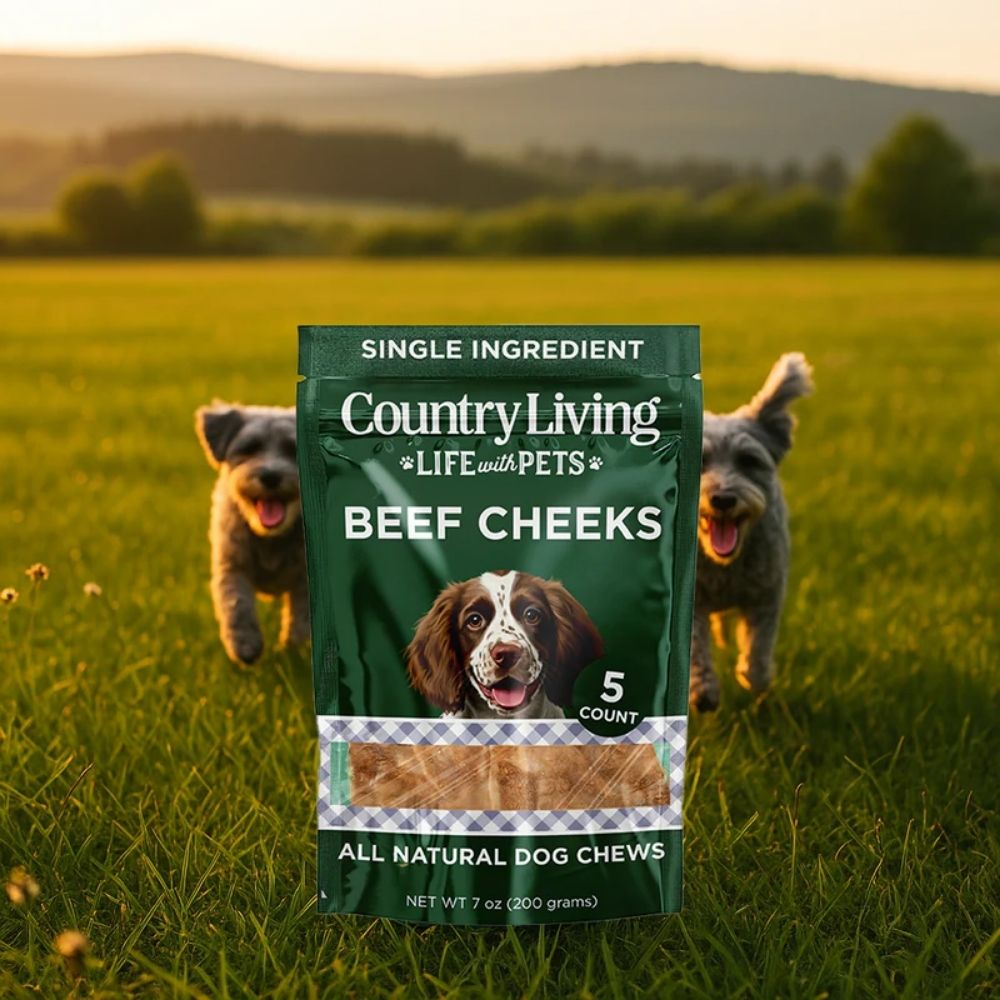 Country Living 4” x 4” Beef Cheek Chip Dog Treats – Chicken Flavor – 5 Count Bag – All-Natural, High-Protein, Long-Lasting