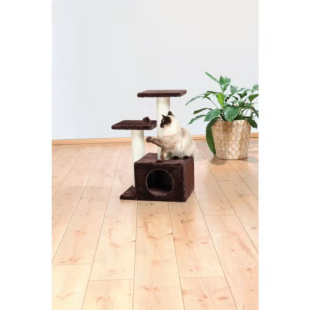 Brown Valencia Cat Tree