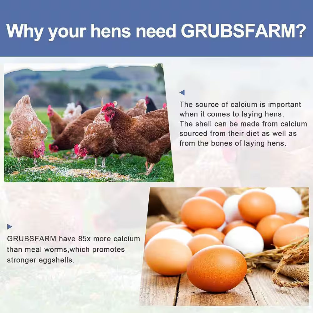 Calcium-Rich Non-Gmo Chicken Feed 85X More Calcium than Mealworms 5Lb Molting Supplement for Hens Ducks Turkeys