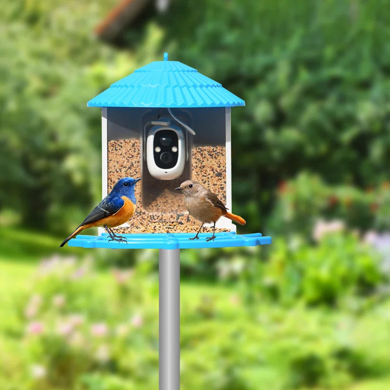 Safaree Feeding Station