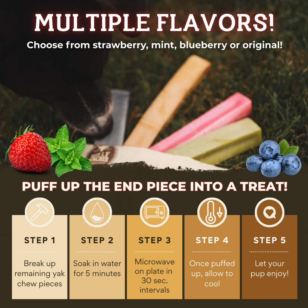 Himalayan Yak Chew (MEDIUM)